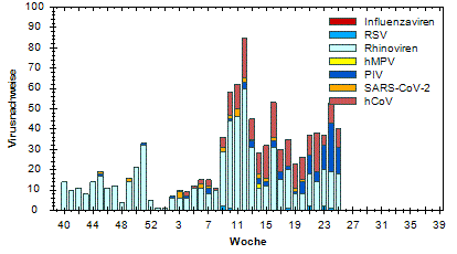 RKI (Arbeitsgemeinschaft Influenza)