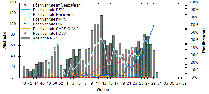 RKI (Arbeitsgemeinschaft Influenza)